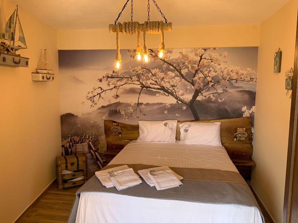 Oniropetra Pelion Mikro Luaran gambar